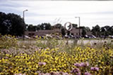 Typical landscape treatment type B example