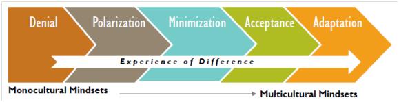 Stages of the model of cultural sensitivity: from a monocultural to a multicultural mindset. The stages are denial, polarization, minimization, acceptance and finally adaptation.