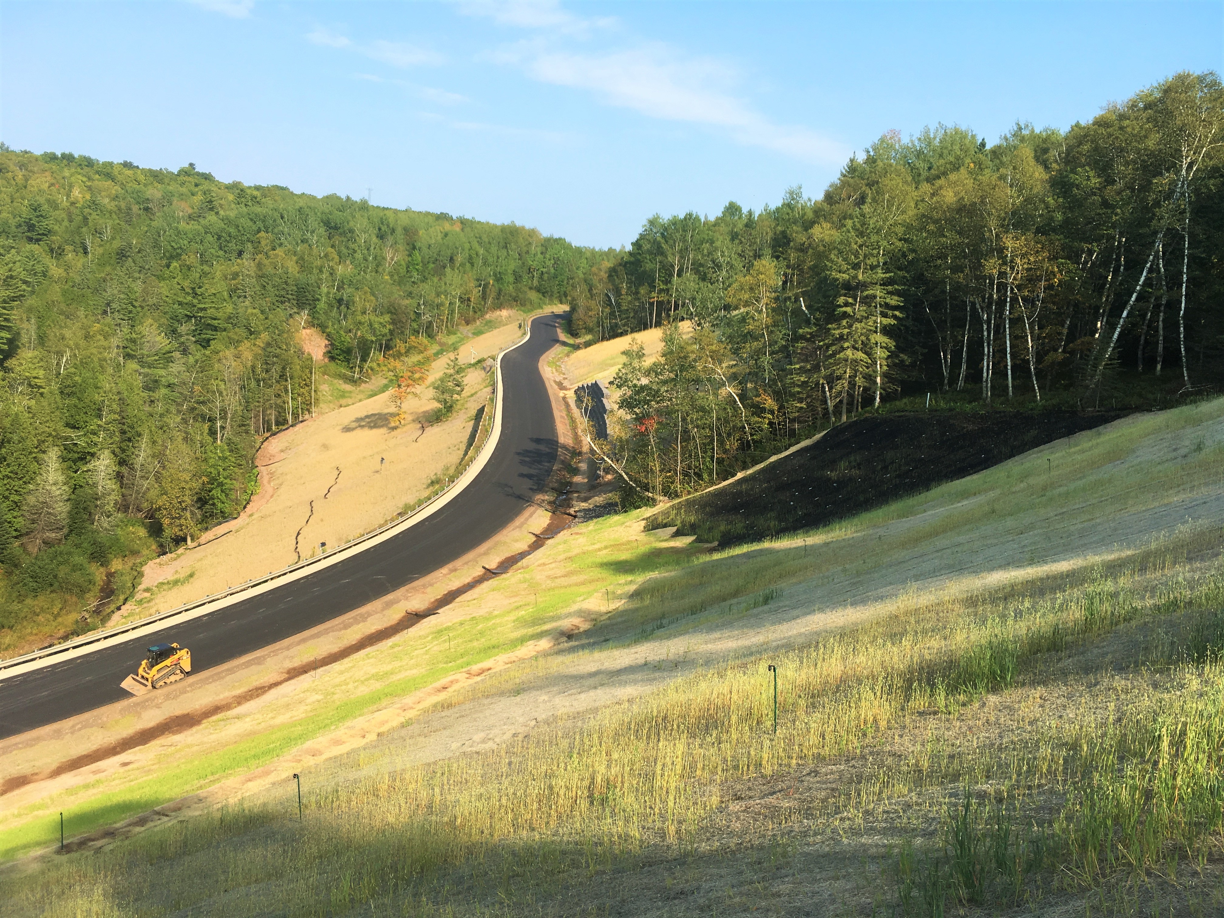 Steep slope stabilization and emerging vegetation above highway.