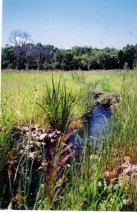 prairie stream