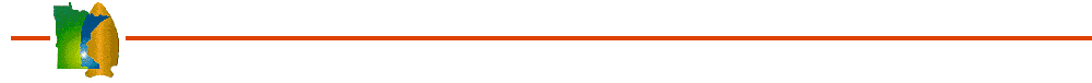 MnModel Orange Bar Logo