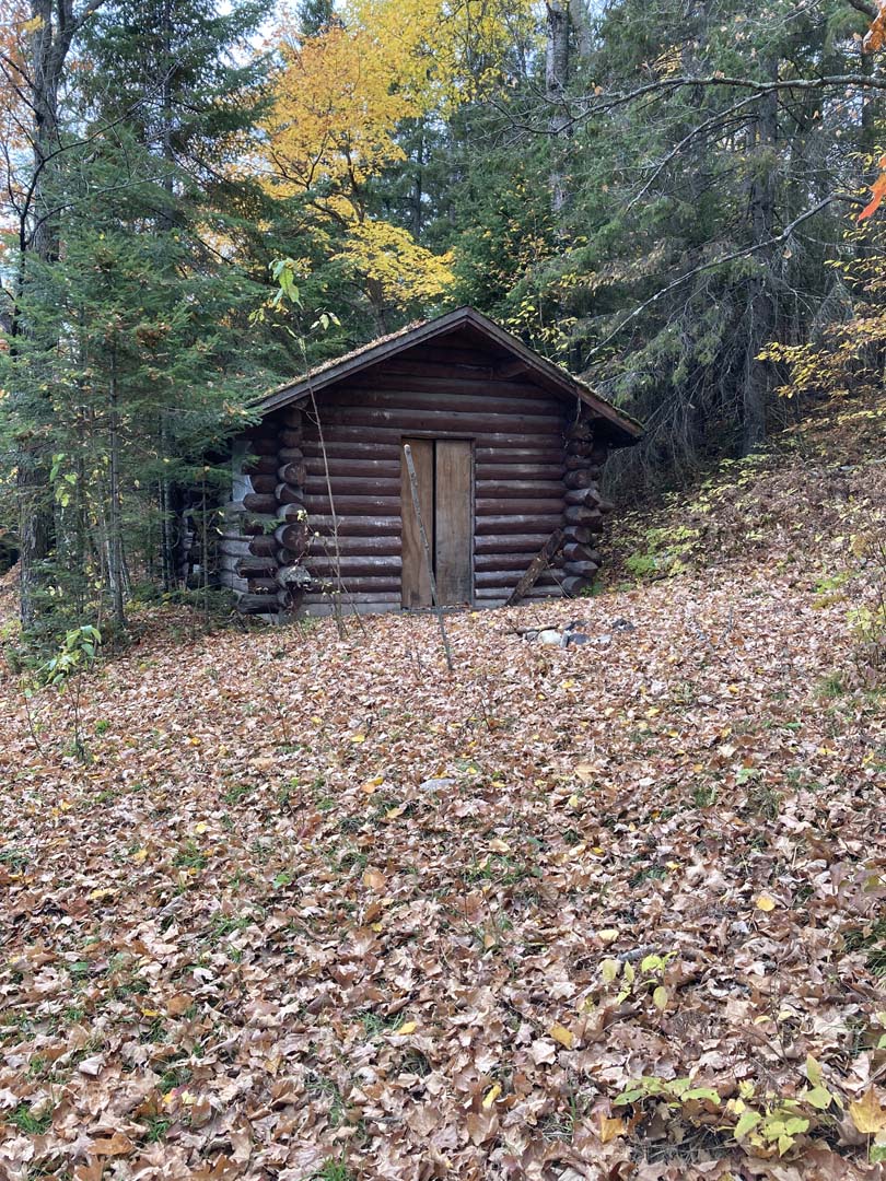 exterior view of one story round log structure, fallen leaves on ground and trees encircling sides and back of structure. Ground slopes up on right side of shelter.  Yellow leaves and evergreen trees in background