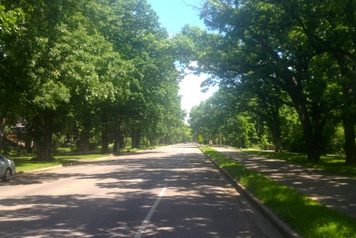 In the Twin Cities Metro Area, Urban Local is the most common functional classification for roads. Municipal streets, like the one shown above in Minneapolis, account for more than half of all centerline mileage.