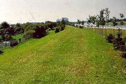 Earthen berm noise barrier