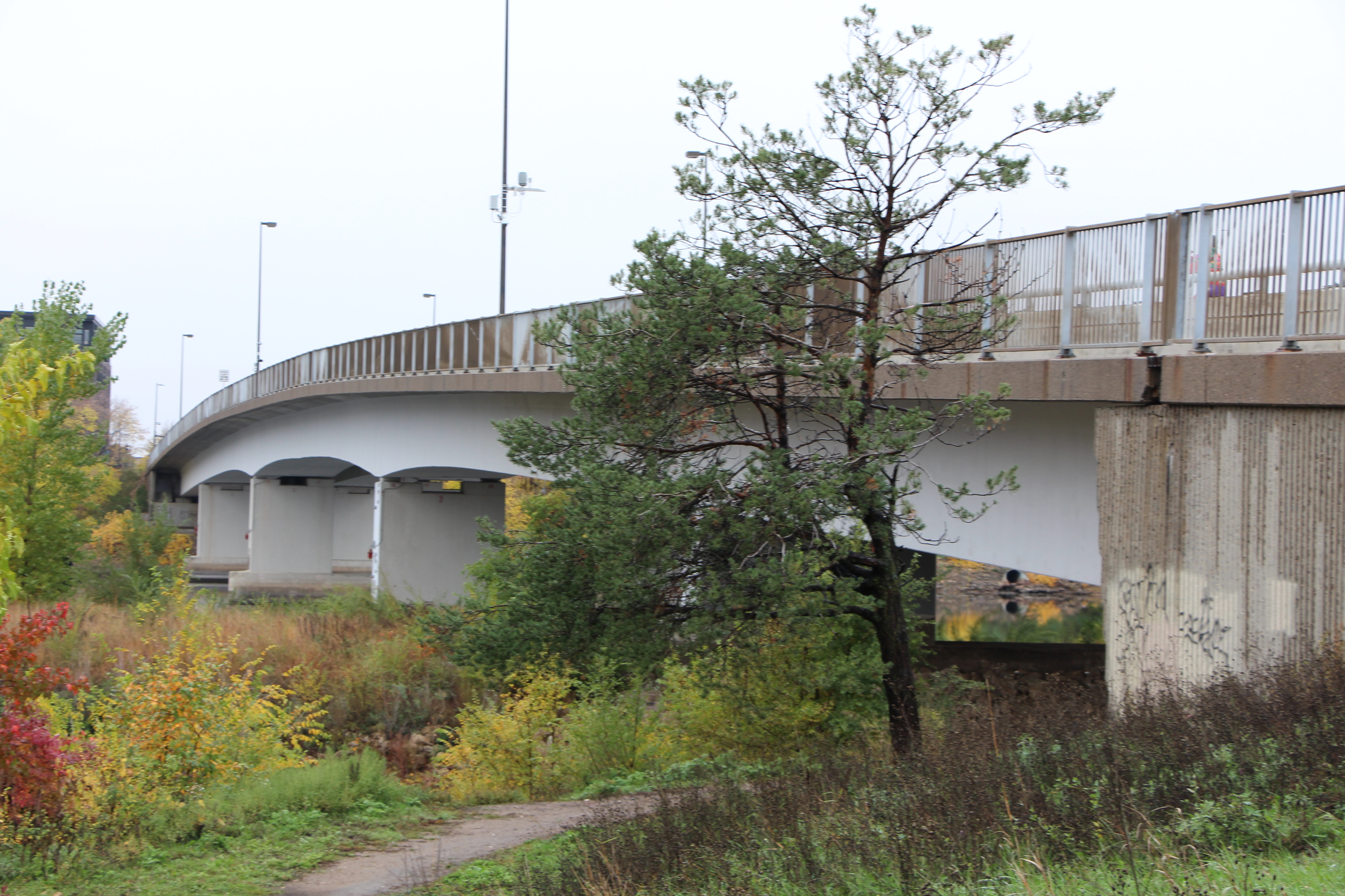 Plymouth Avenue Bridge