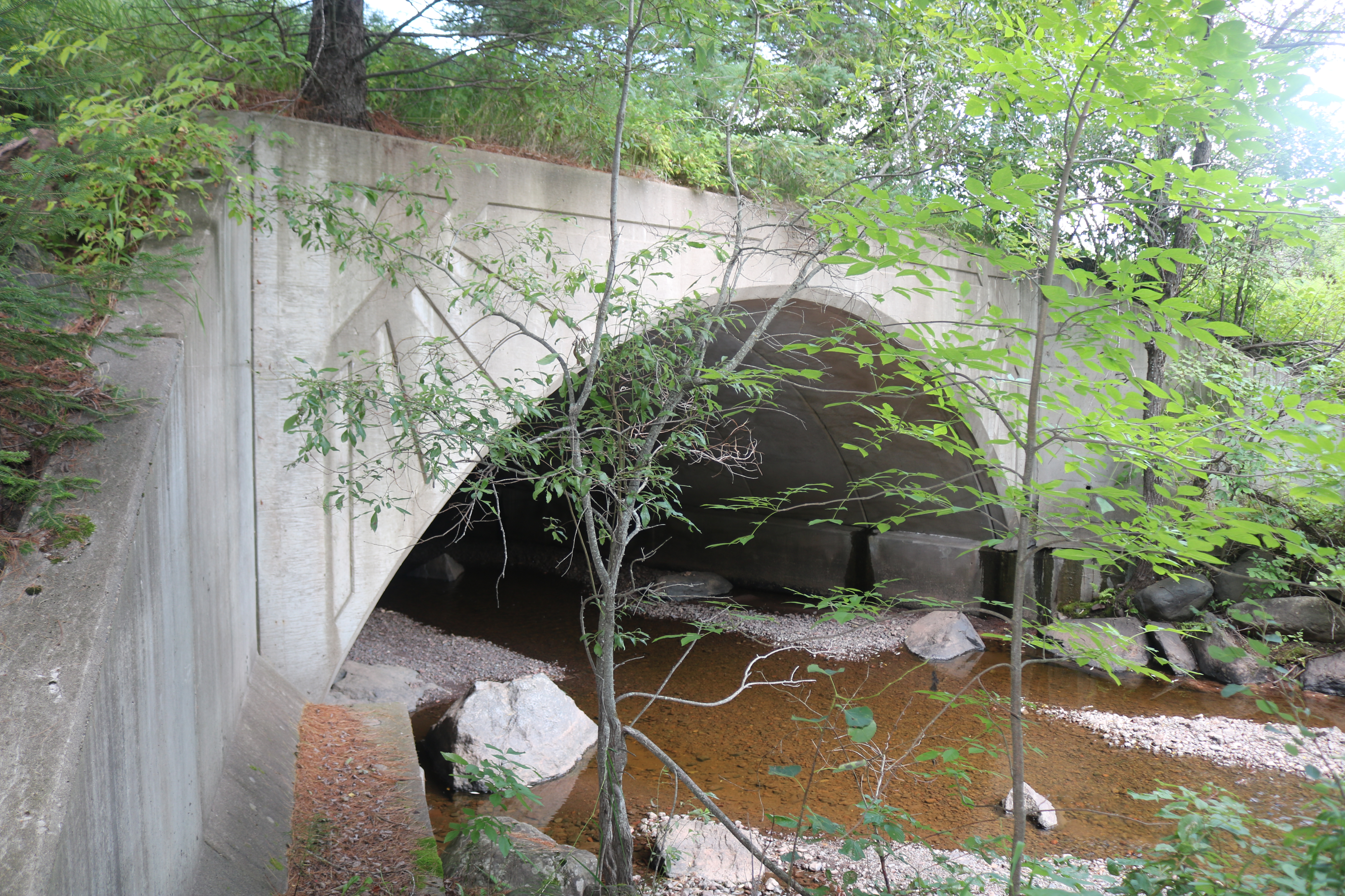 Bridge 96501