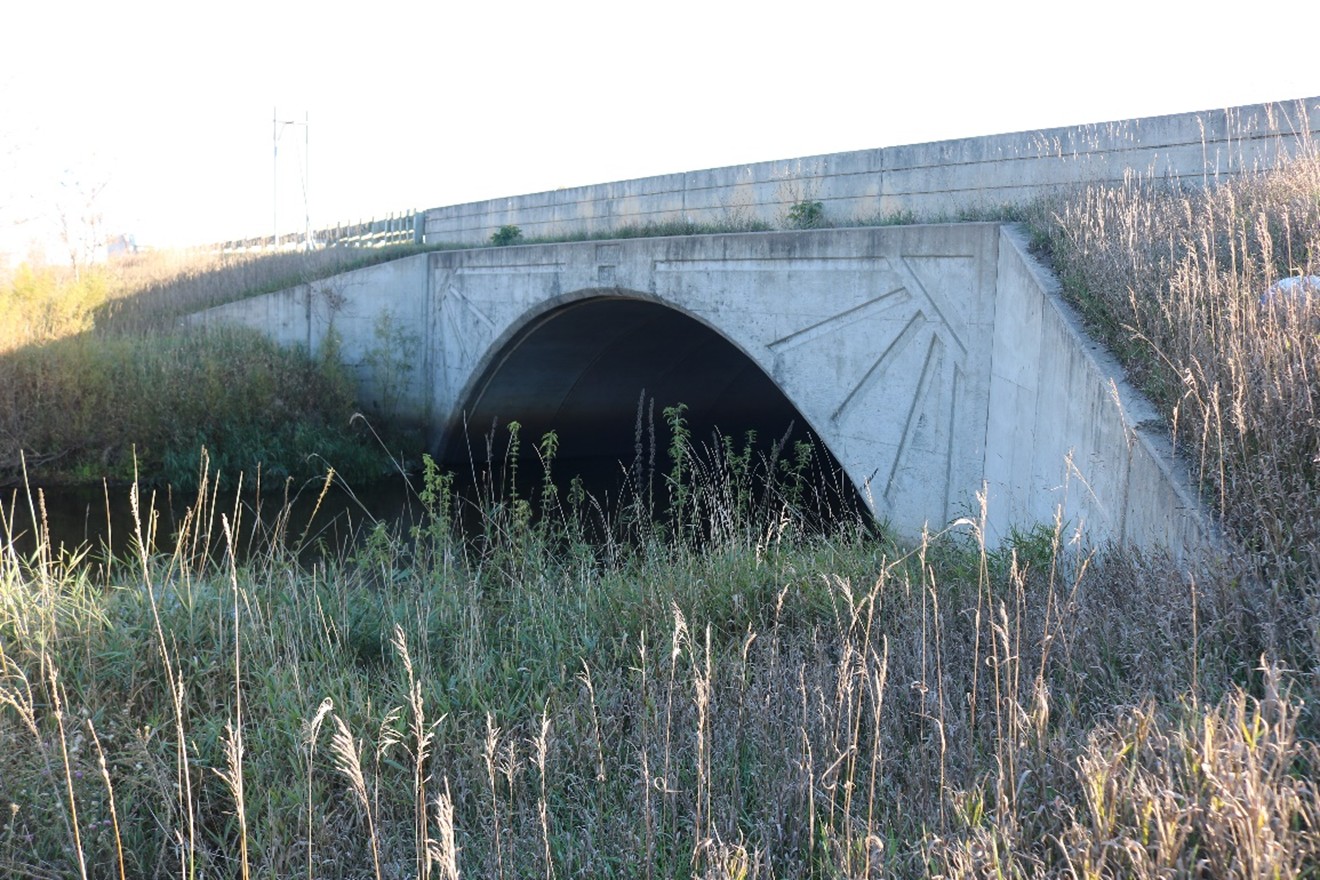 Bridge 96628