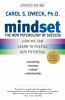 book cover of Mindset the new psychology of success