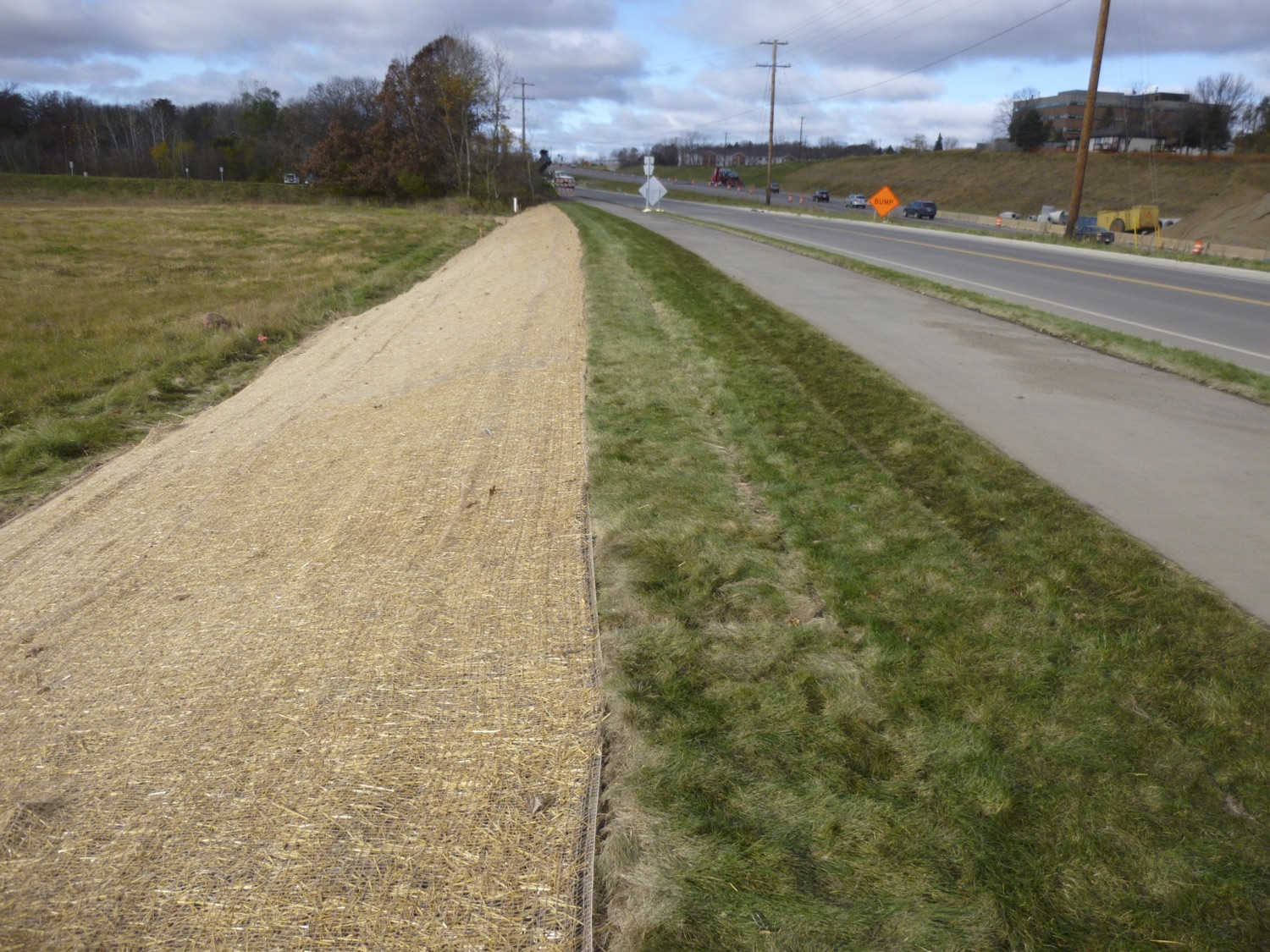 Developing Salt-Tolerant Sod Mixtures for Use as Roadside Turf in Minnesota