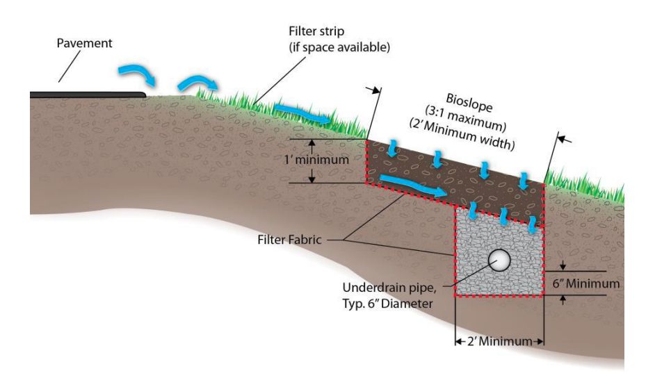 This cross section of a common engineered bioslope shows the position of a vegetation filter strip, a section of biofiltration material and an underdrain pipe beneath it. The blue arrows indicate the flow of water.