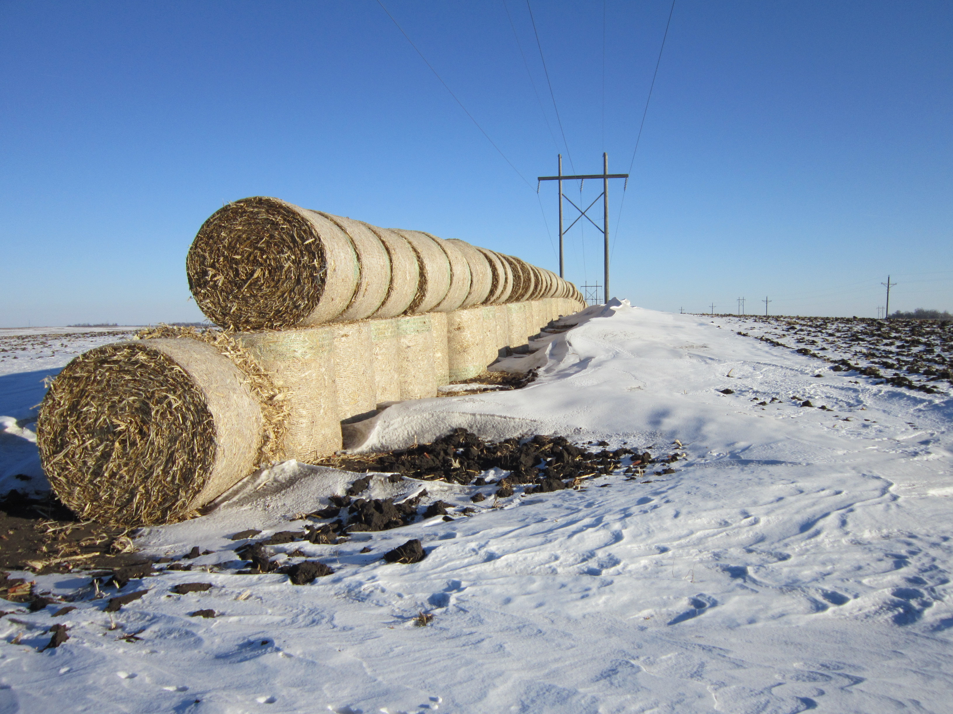 Stacked hay bales make effective snow fences for trapping blowing and drifting snow before it reaches a roadway corridor. The bales can be used for agricultural purposes once winter has passed.