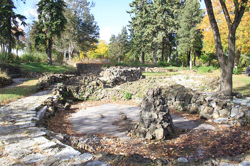 Rock garden