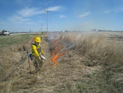 Starting the first burn this spring on Hwy  75 southwest of Crookston.  A drip torch is used to light close to the downwind  edge while crew members on foot, on an ATV, and in an engine stand by in case  the fire creeps into the adjacent bean stubble.